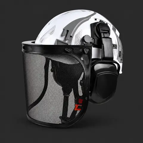 Forestry Safety Helmet