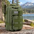 25L (Green)